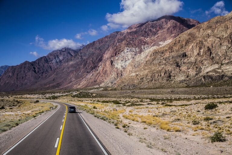 夏休みに家族旅行を車なしで楽しむための便利な方法は？