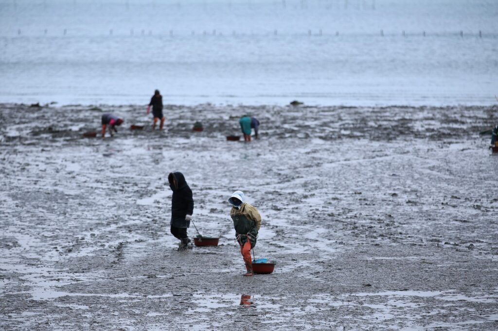 夏休みの家族旅行におすすめの行き先は？