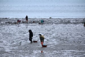 夏休みの家族旅行におすすめの行き先は？