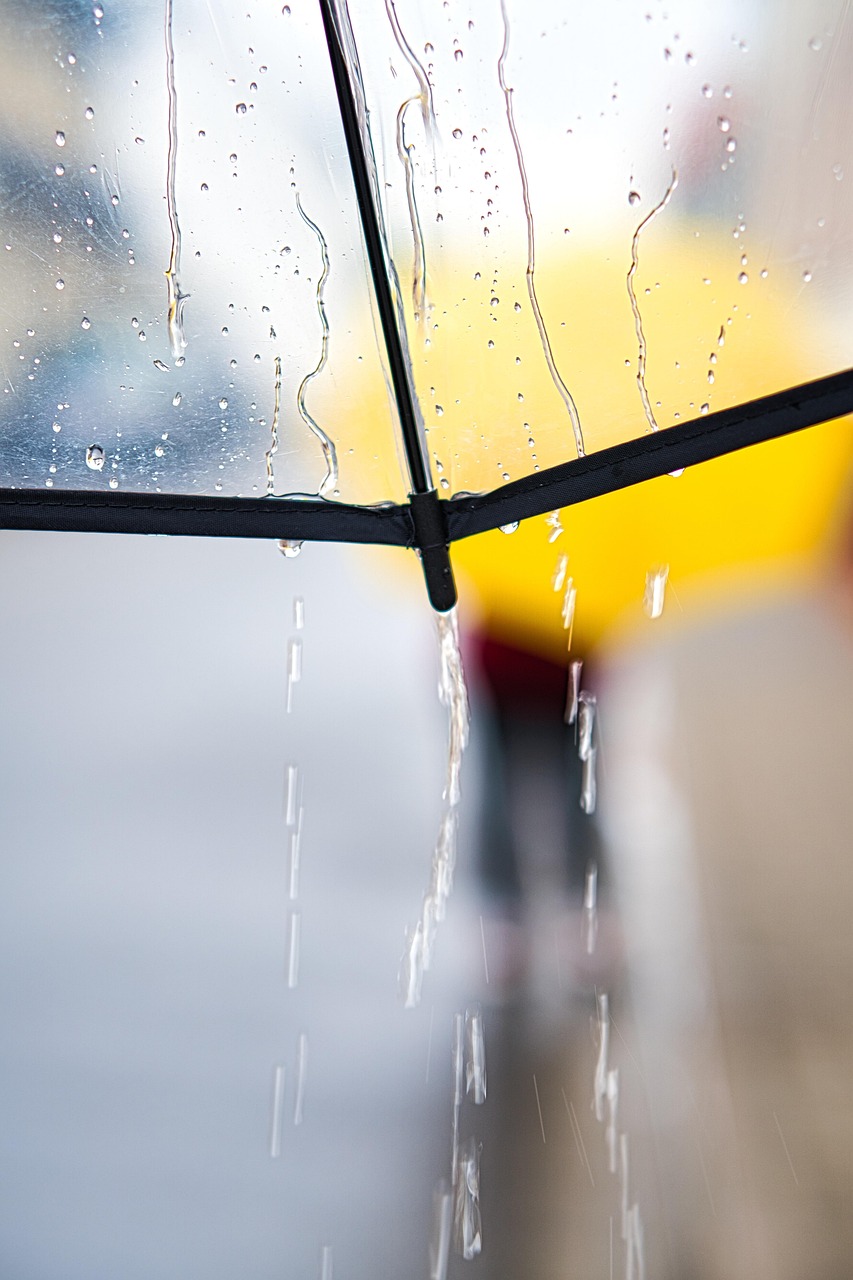 夏休みの家族旅行にぴったりな雨の日の室内遊びは？