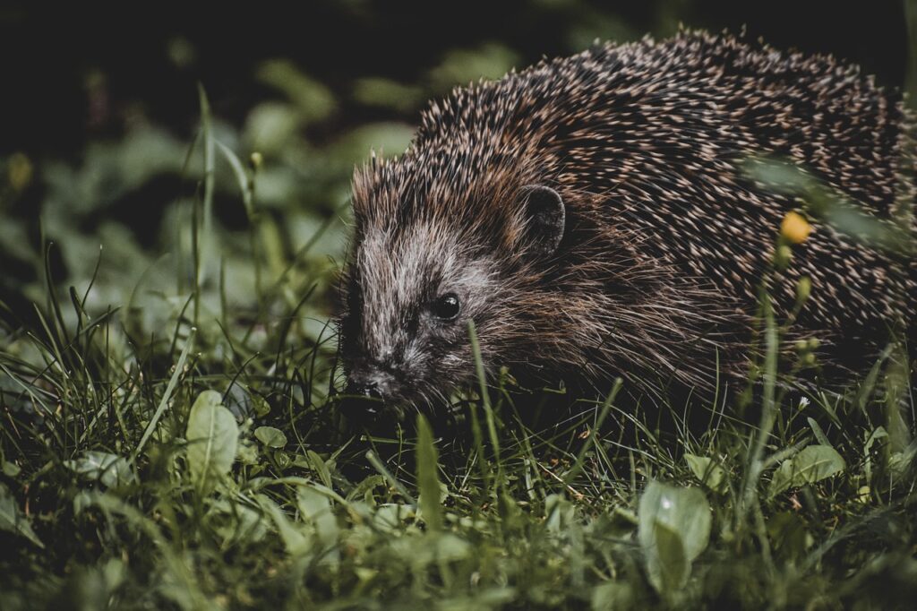 夜行バスを利用した家族旅行のメリットは？