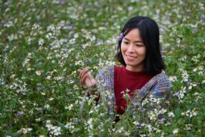 5万円旅行で楽しむおすすめの国内行き先は？