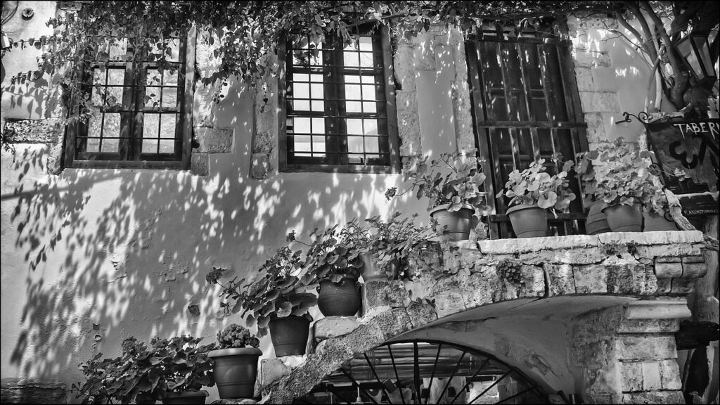 夏休みにこだまを利用した旅行のおすすめプランは？