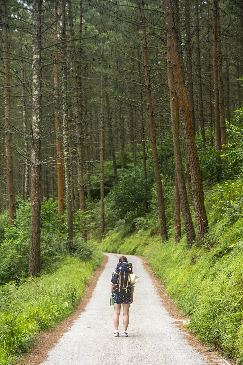 夏休みの家族旅行で楽しむ屋久島トレッキング5日間のプランは？