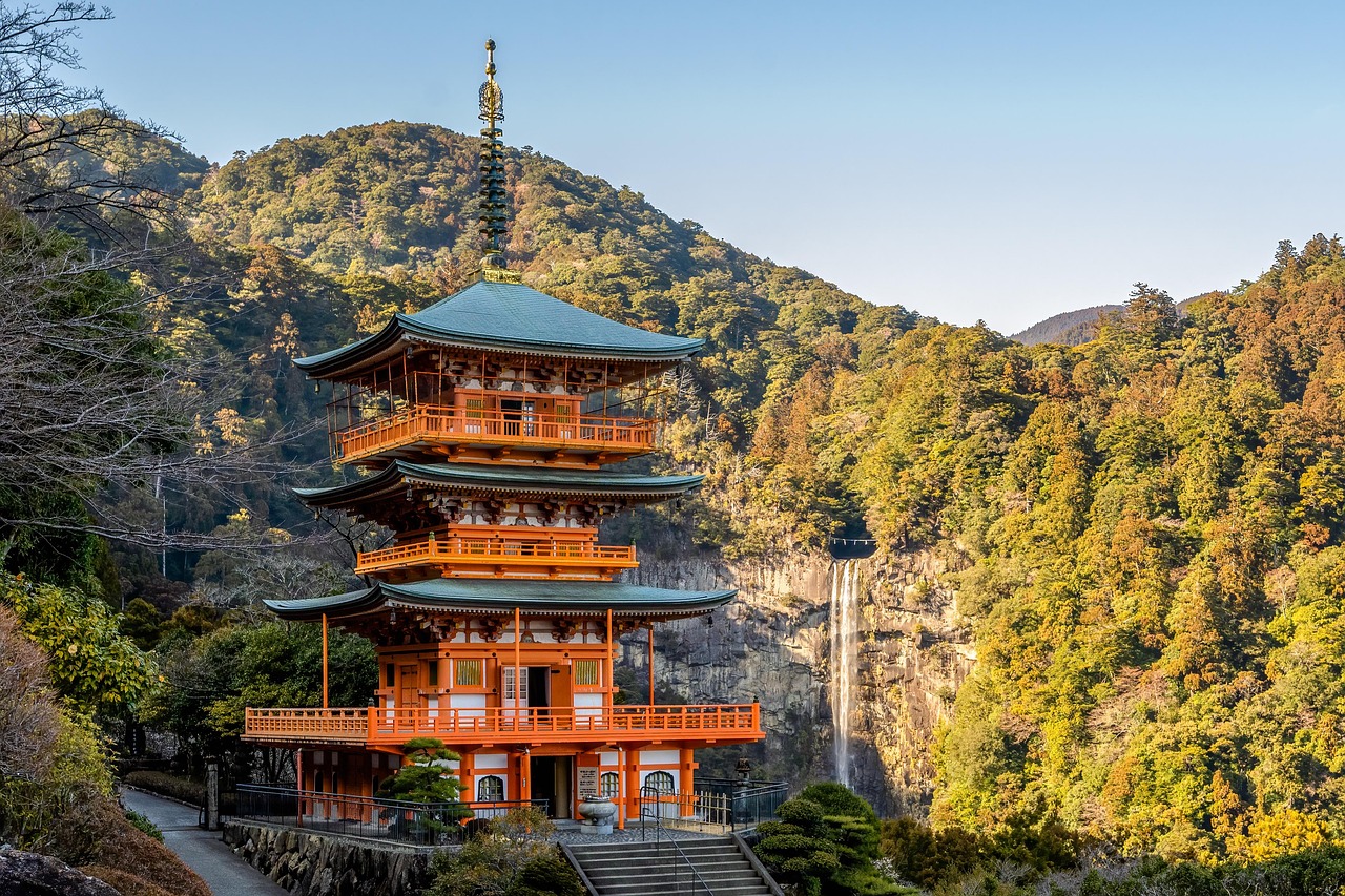 夏休みの家族旅行に最適な和歌山のアドベンチャーワールドの楽しみ方は？