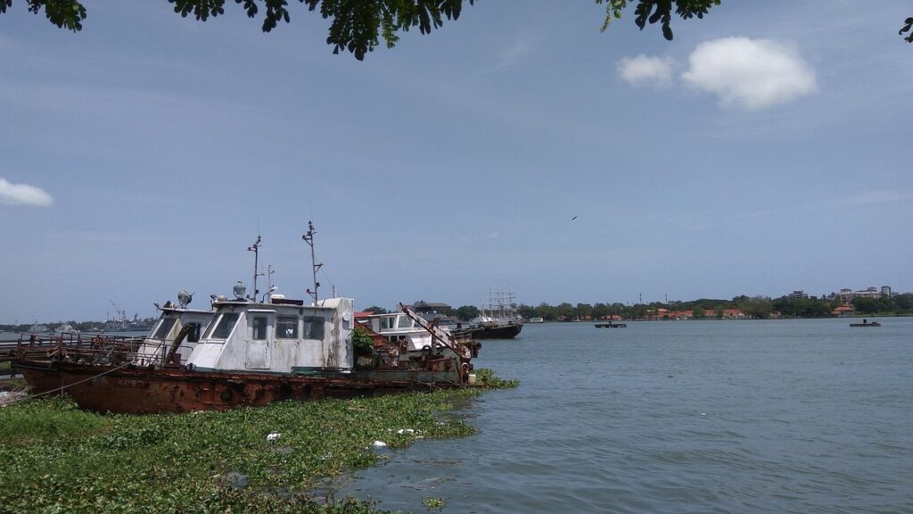 夏休みの家族旅行に最適な高知の仁淀川でのカヌー体験は？