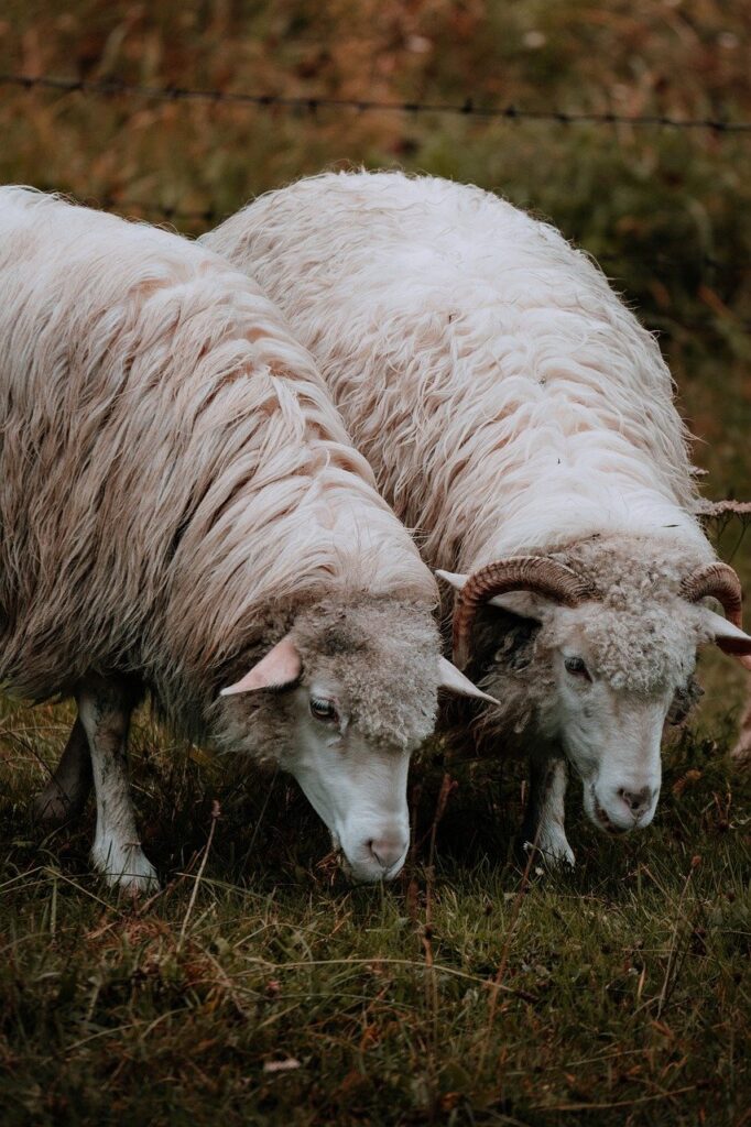 夏休みに家族旅行で楽しめる国内の貸切風呂がある宿は？