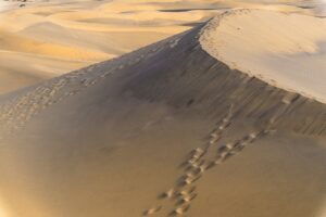 夏休みに家族旅行で行くべき国内の兵庫城崎温泉は子連れに最適？