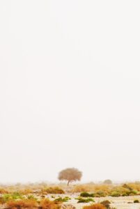 予算5万で楽しむ国内旅行のおすすめプランは？