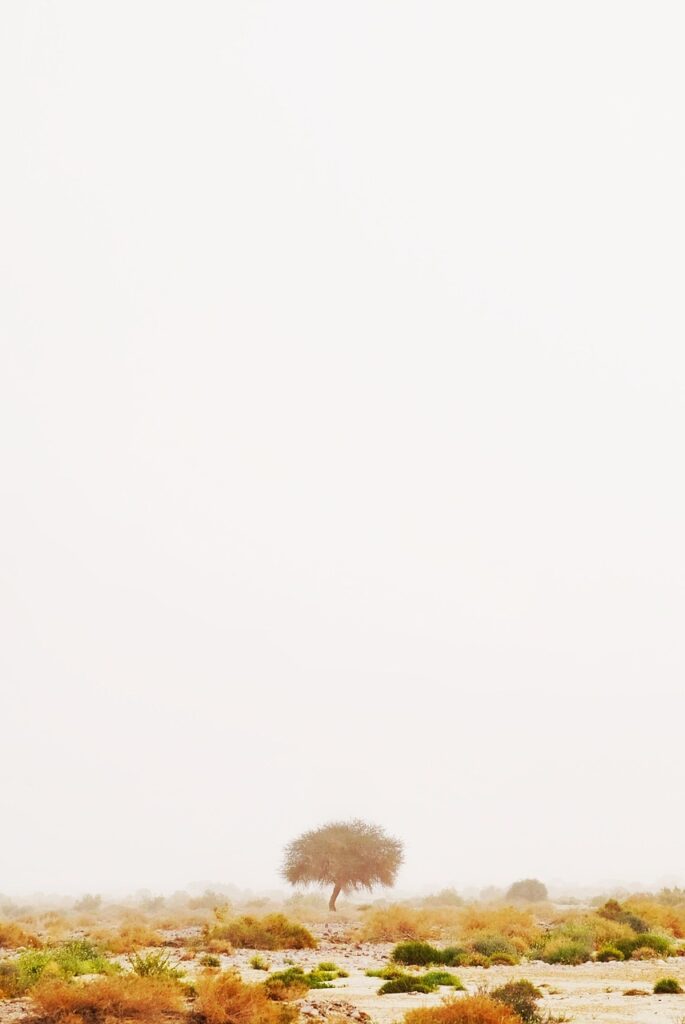 予算5万で楽しむ国内旅行のおすすめプランは？