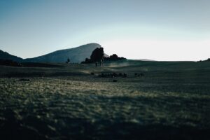 夏休みの家族旅行で子どもがぐずらないための国内移動対策は？