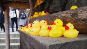 夏休みに家族旅行で楽しめる国内のプールと温泉の両方は？