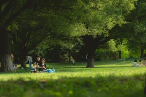 夏休みの家族旅行、実際の体験談から得られる成功の秘訣は？