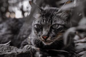 2泊3日の国内旅行、予算はどれくらい必要？
