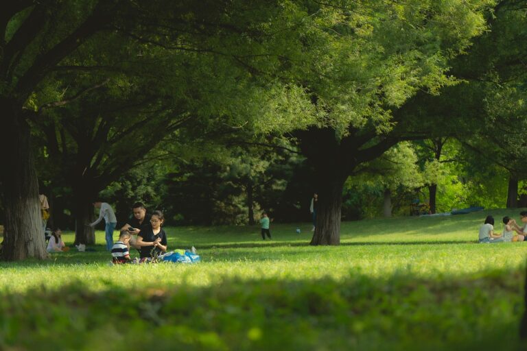 夏休みの家族旅行におすすめのスポットはどこ？