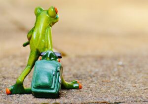 旅行の予約方法はこれで決まり？
